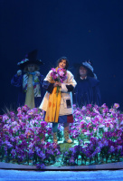 Рождественская сказка